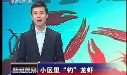 山西卫视新闻爆料电话,揭秘幕后真相